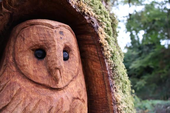 Close up of owl sculpture in Barna Woods