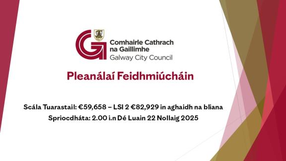 Pleanálaí Feidhmiúcháin