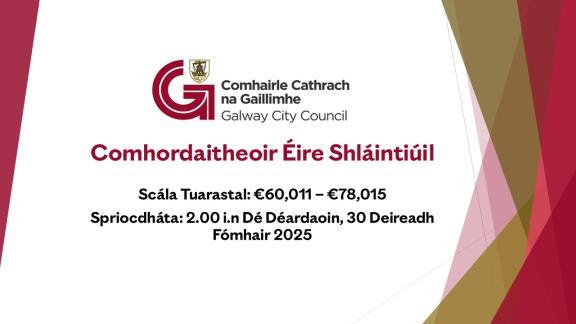 Healthy Ireland Co-Ordinator