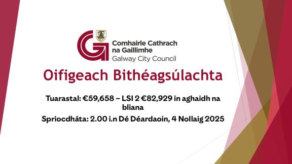 Oifigeach Bithéagsúlachta 