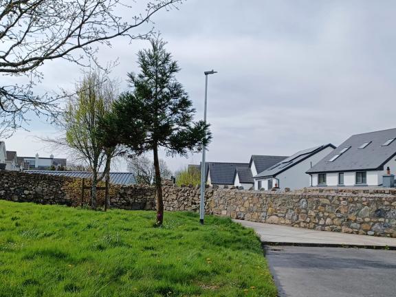 Public lighting lamp in a green with houses in the background
