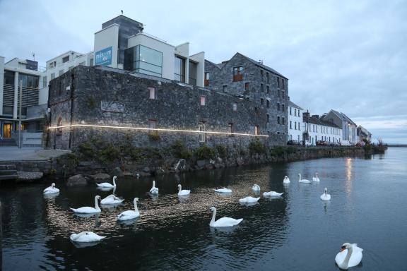 Pic of swans in front of museum
