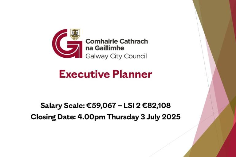 Executive Planner