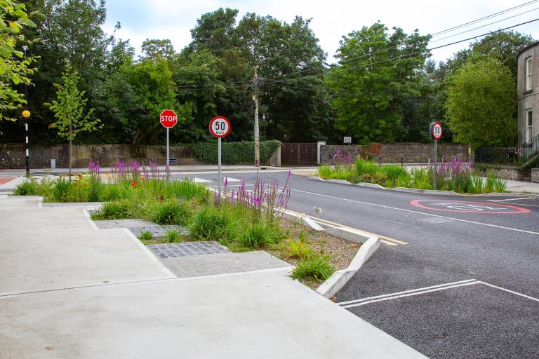 A photograph of the newly installed rain gardens at The Crescent/Sea Road junction