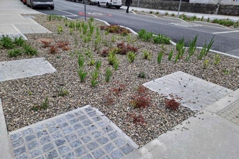 Integration of Rainwater Garden into new Traffic Calming Measures