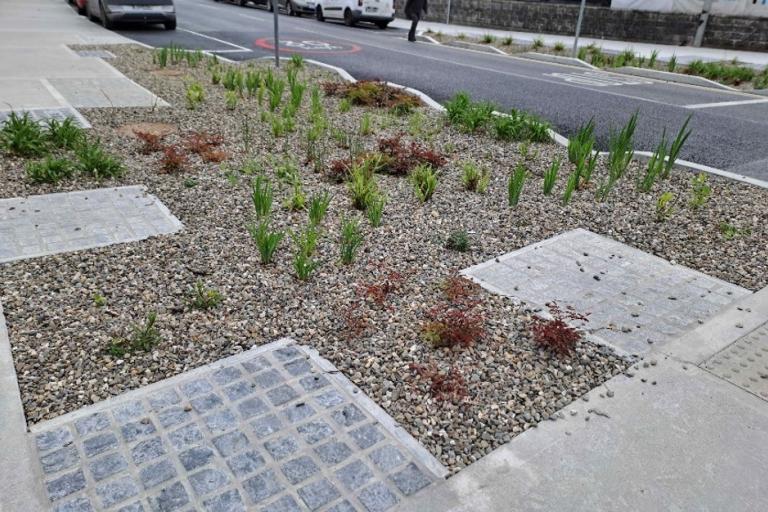 Integration of Rainwater Garden into new Traffic Calming Measures