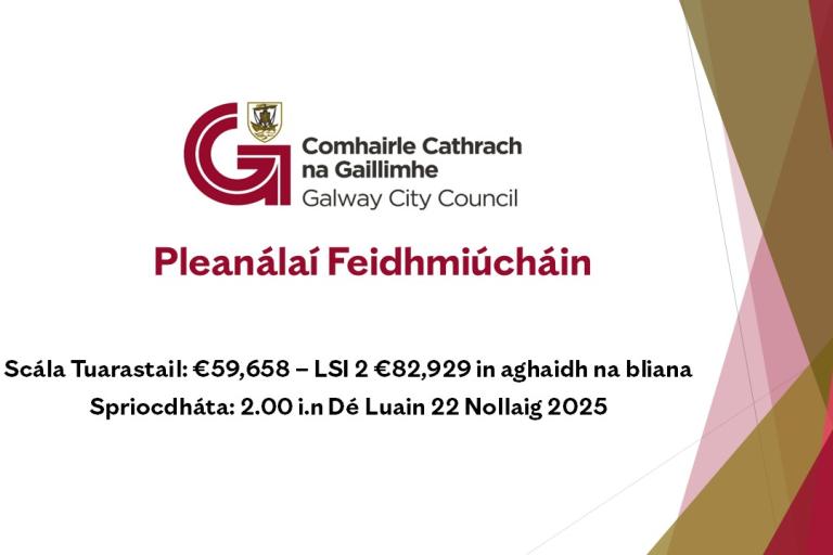Pleanálaí Feidhmiúcháin