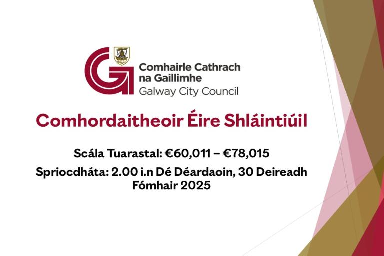 Healthy Ireland Co-Ordinator