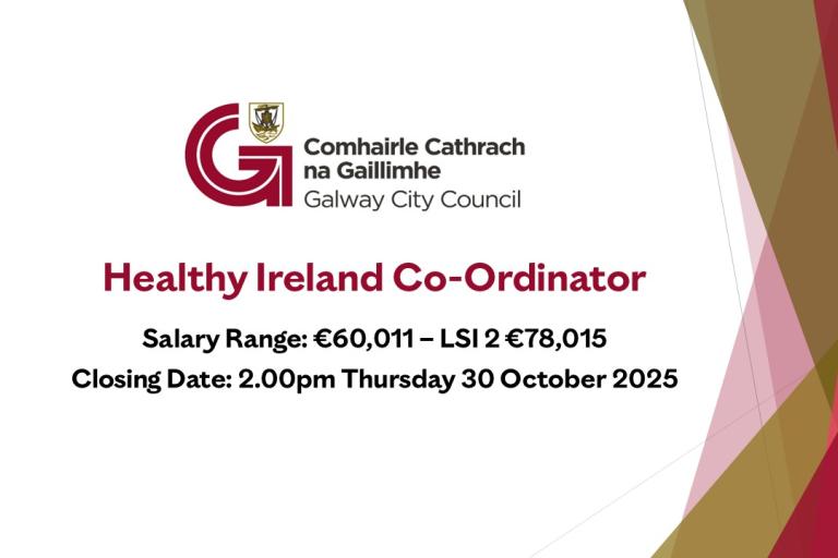 Healthy Ireland Co-Ordinator