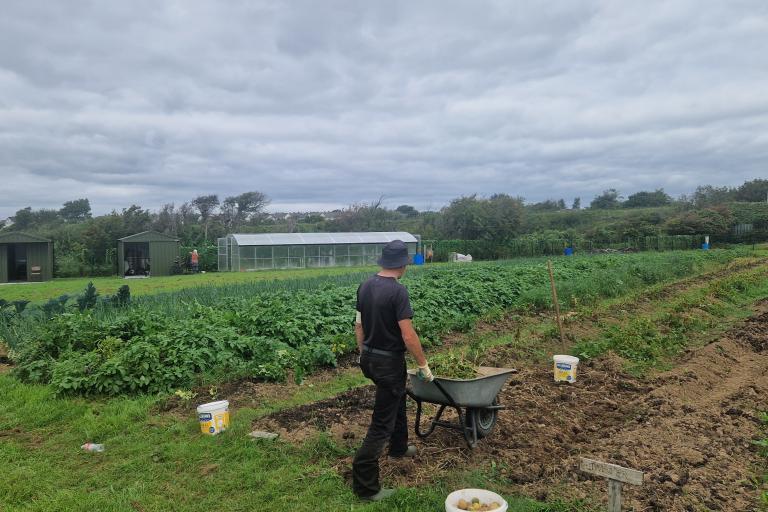 Renmore Community Garden