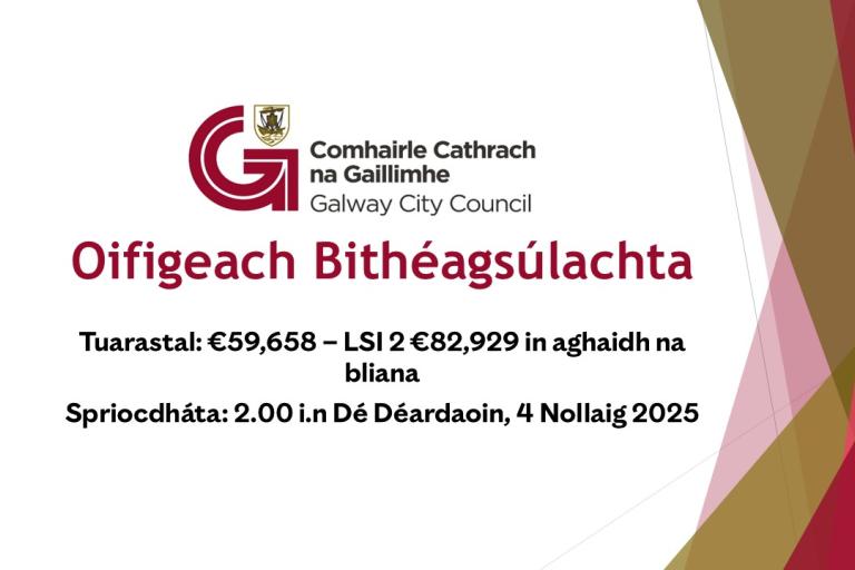 Oifigeach Bithéagsúlachta 