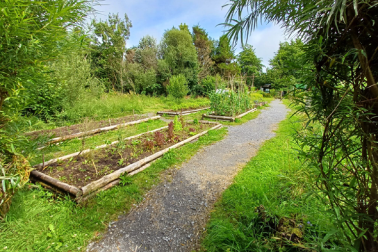 MerlinWoodsCommunityGardens
