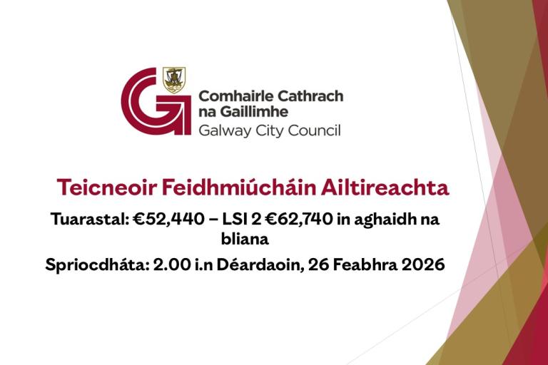 Teicneoir Feidhmiúcháin Ailtireachta