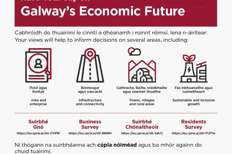 Poster for Joint Economic Strategy with coloured icons and links to survey