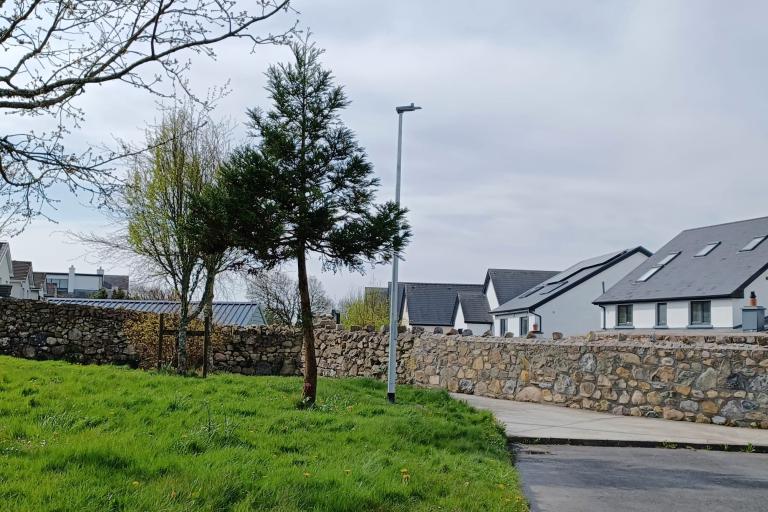 Public lighting lamp in a green with houses in the background