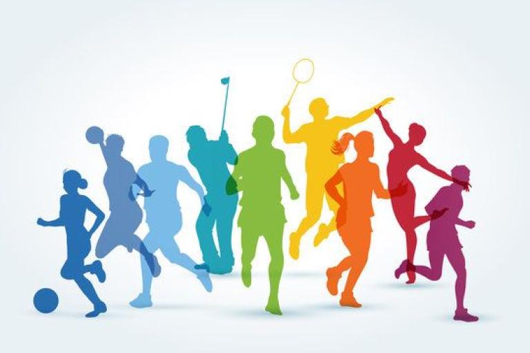 people playing sport