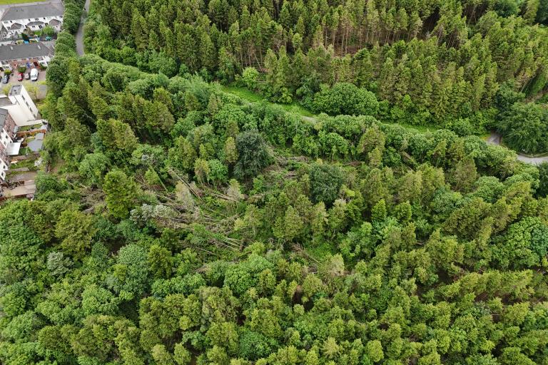 merlin woods aerial picture