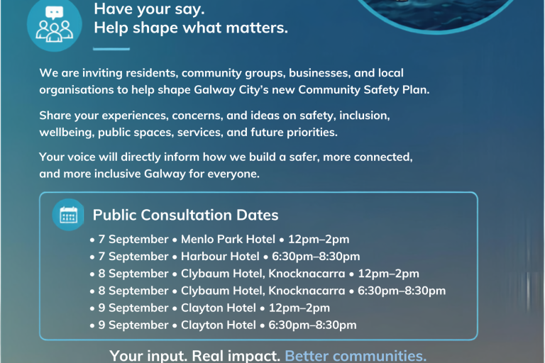 Safety Plan Consultations
