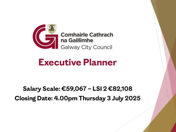 Executive Planner