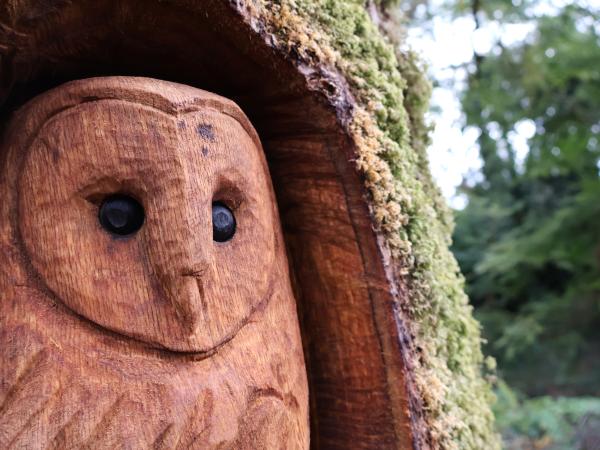Close up of owl sculpture in Barna Woods