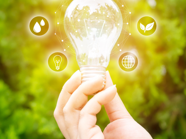 LIGHTBULB WITH RENEWABLE GRAPHICS AROUND IT