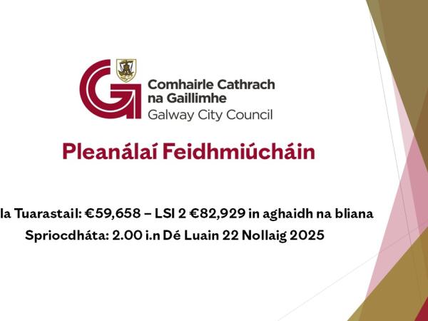 Pleanálaí Feidhmiúcháin