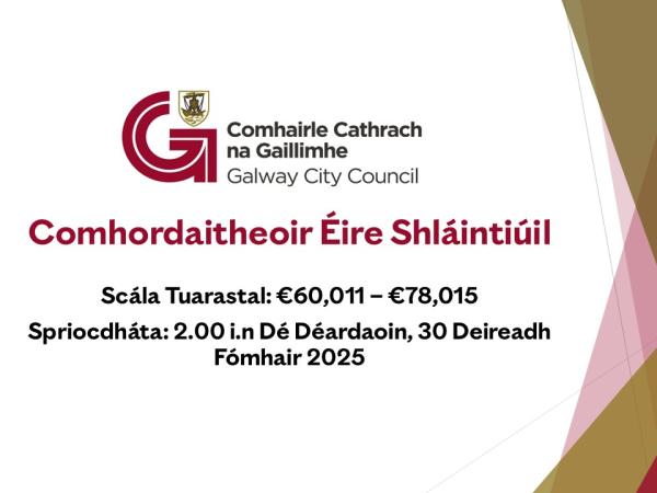 Healthy Ireland Co-Ordinator