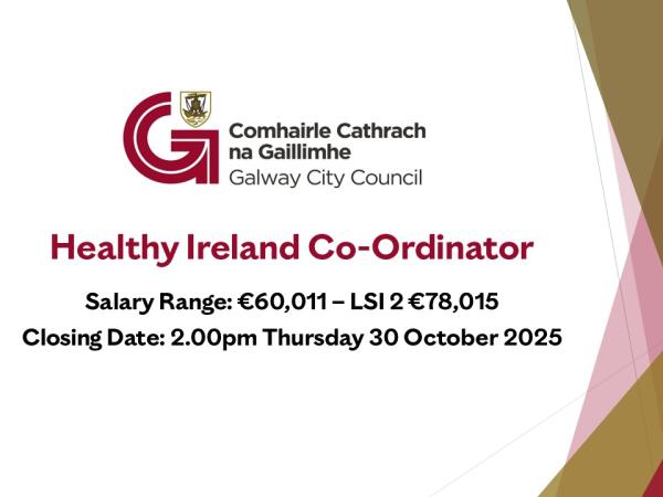 Healthy Ireland Co-Ordinator