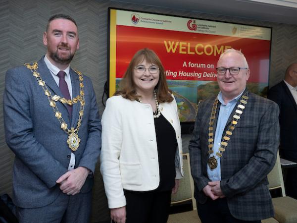 Mayor Cubbard, Laura Behan, Dpartment of Housing, Cathaoirleach David Collins