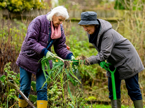 Two women examining vegetables in a community garden