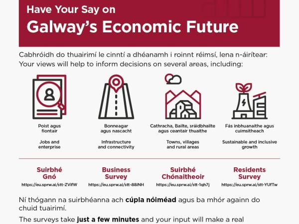 Poster for Joint Economic Strategy with coloured icons and links to survey