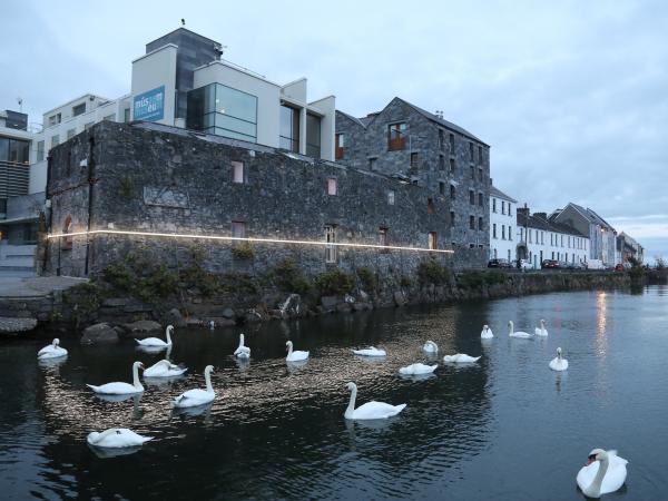 Pic of swans in front of museum