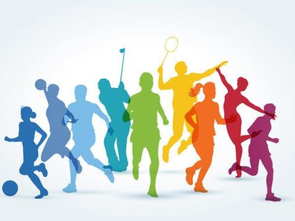 people playing sport