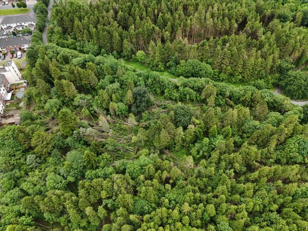 merlin woods aerial picture
